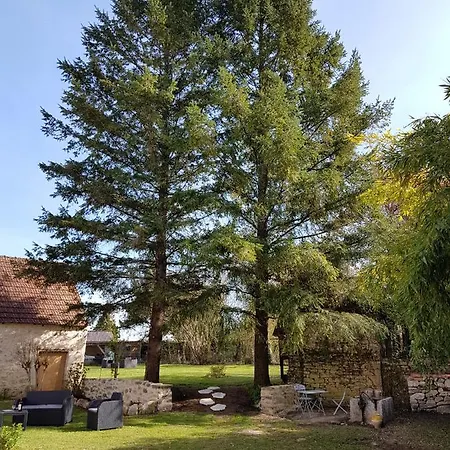 Truite Fario, Fish And *