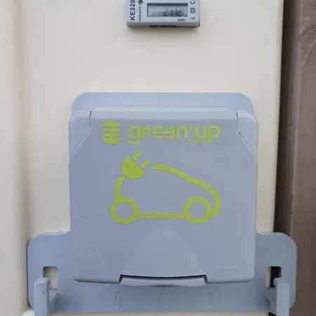 Truite Fario, Fish And