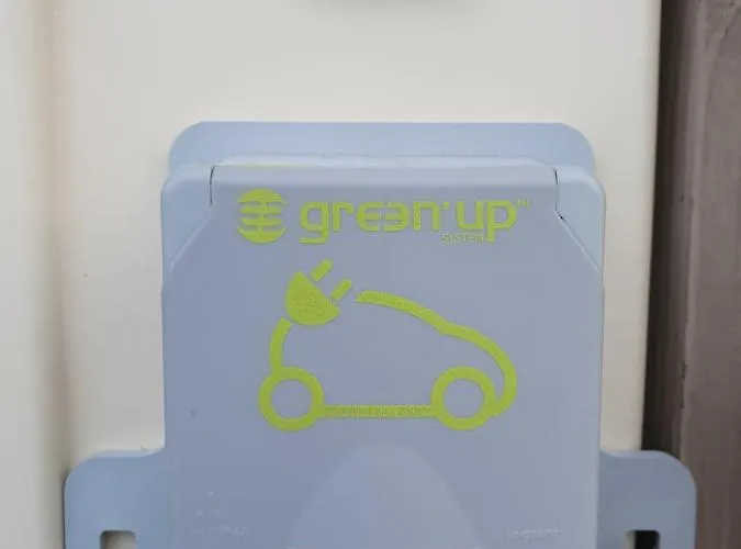 Truite Fario, Fish And